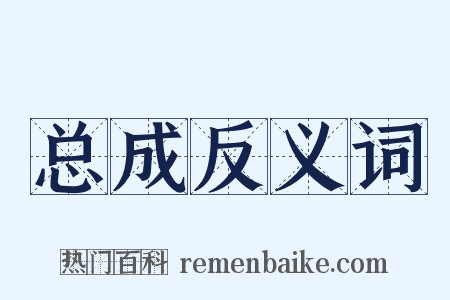 总成反义词是什么意思的图片